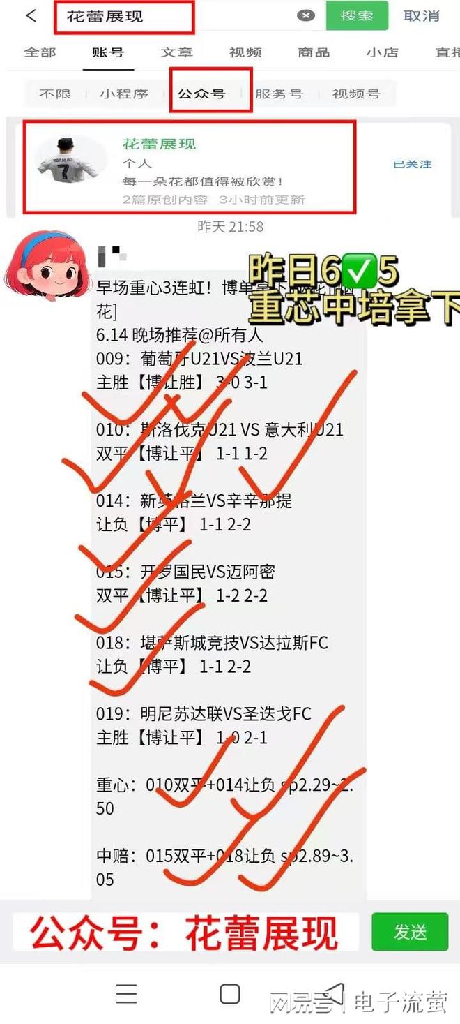 开云体育中国-德国对捷克，预测胜者难度倍增