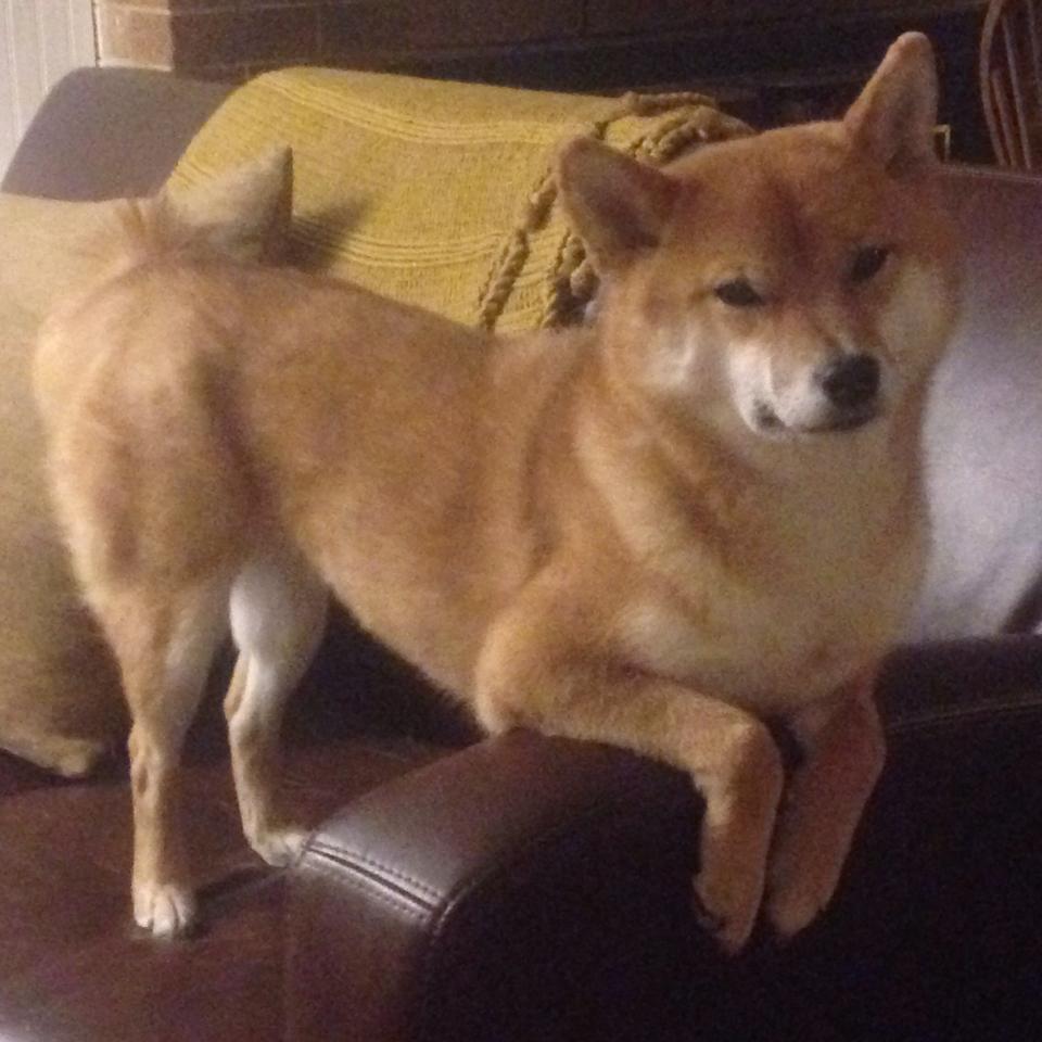 开云体育平台APP-双线焦点，欧冠窒息攻防下的战术博弈，与76人团队篮球的完美风暴