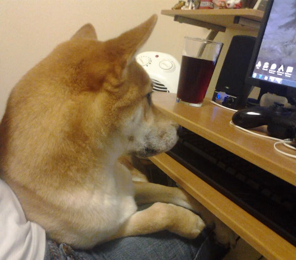 开云体育APP下载-硬仗见证王者，洪都拉斯与尼斯之战，姆巴佩的关键证言