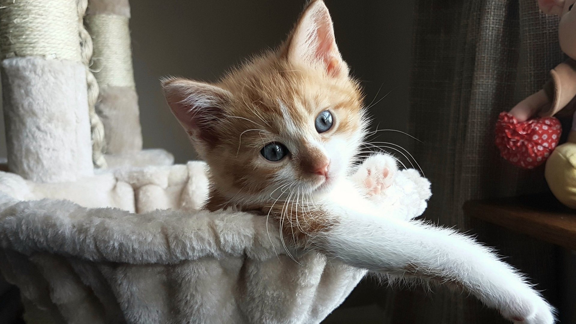 开云体育平台APP-铁闸破心牢，孔德在那不勒斯的坚盾与曙光