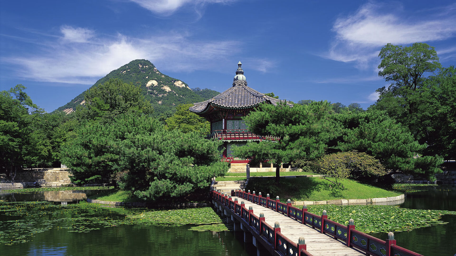 开云平台-黄蜂突袭，2026世界杯辽宁队的悲壮黄昏