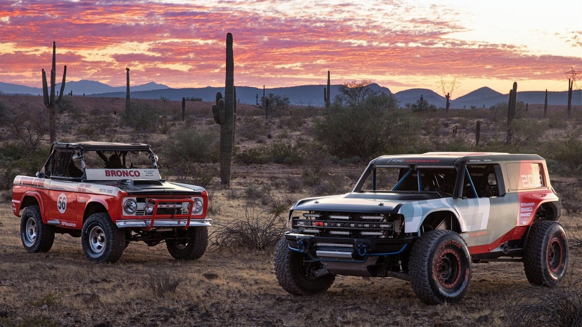 切特·霍姆格伦，纤瘦身躯撑起的巨人统治力，猛龙群星黯然失色