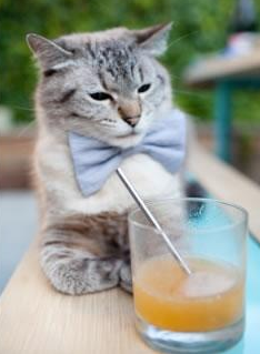 双线战场，F1新季轰鸣启程，上海男篮钢锯之争终胜雷霆