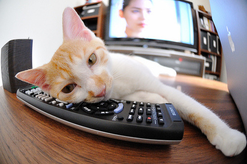 萨拉赫进攻端无人可挡，尼日利亚速胜墨西哥创纪录