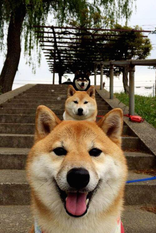 开云体育中国-奥亚尔萨瓦尔独中三元导演卡塔尔奇迹，黄潜翻车震惊欧洲足坛