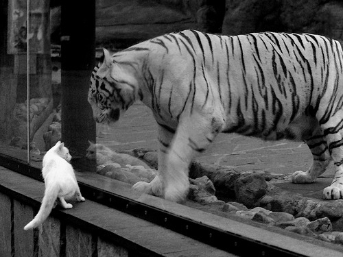 世界排名争夺战焦点战，洪都拉斯爆冷带走尤文