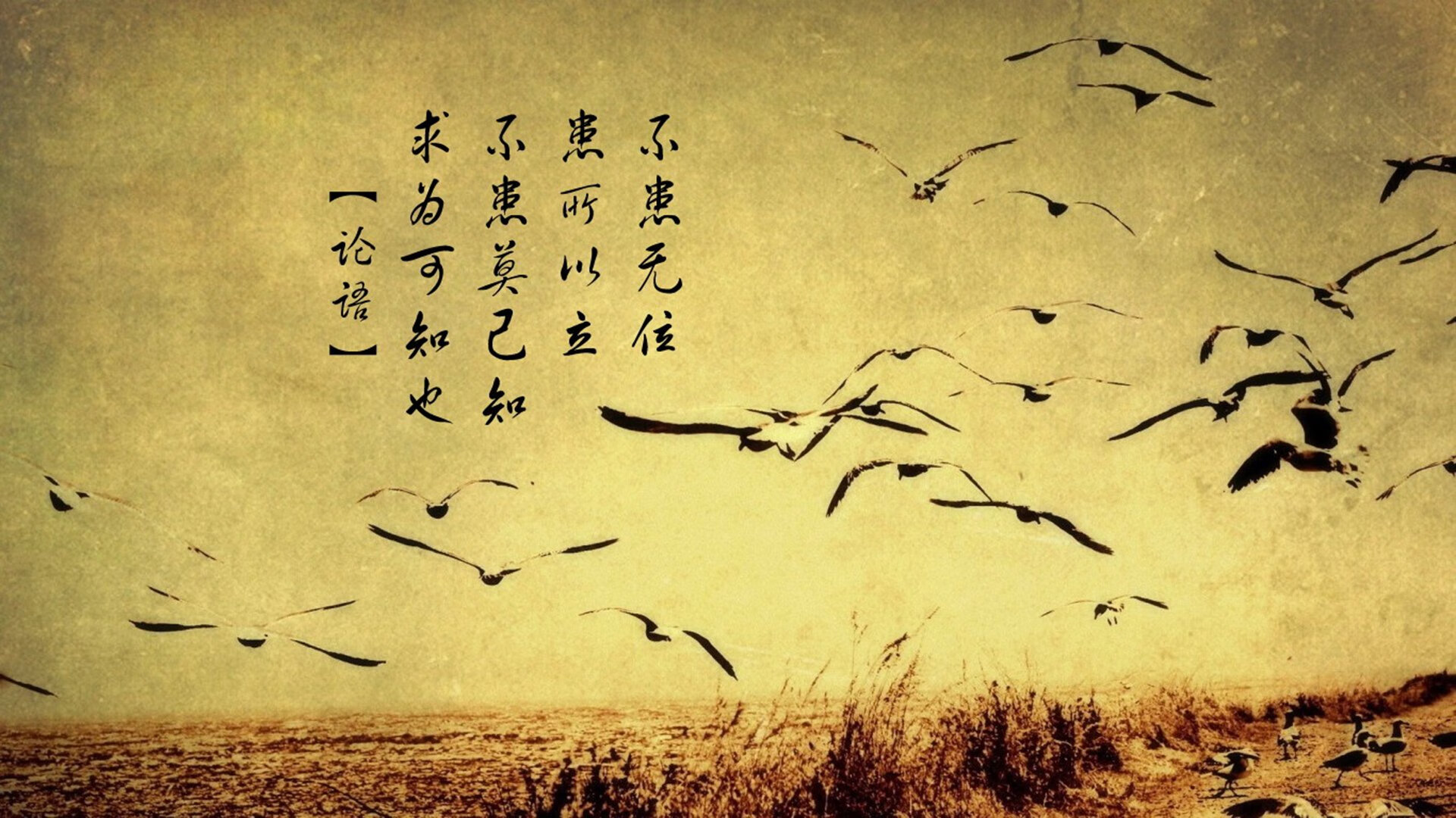 无声的节奏，伊布的欧冠淘汰赛掌控艺术