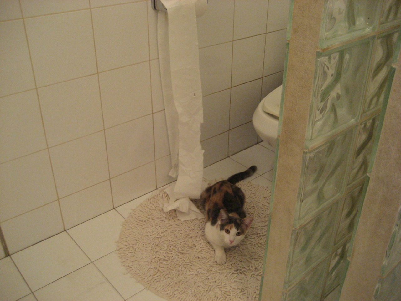 开云体育入口-勇士绝境突围，NBA季后赛焦点战力克独行侠的关键史诗