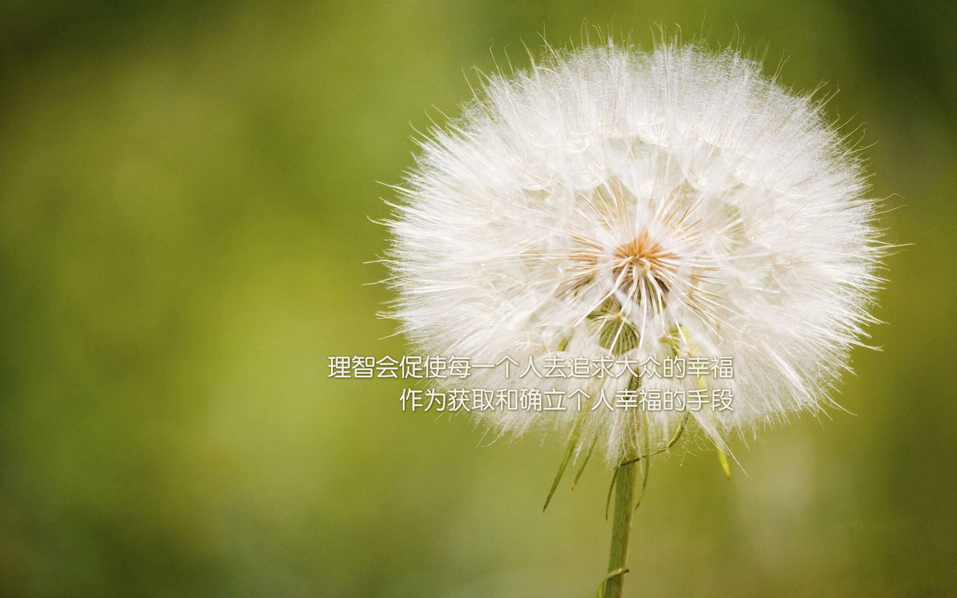 东决之夜的双重荣耀，梅西在焦点战中铸就传奇