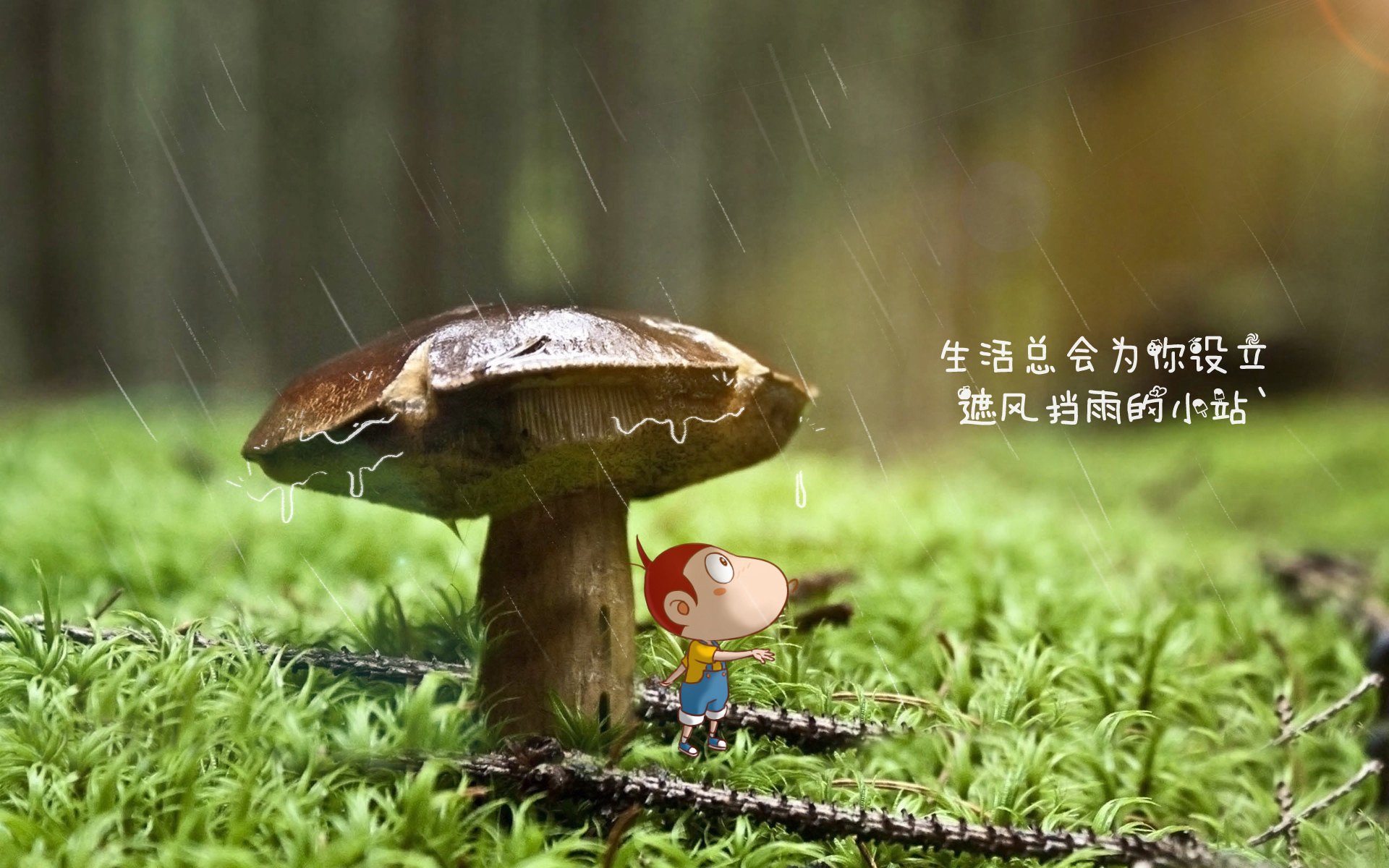 冷门之夜，2026世界杯E组，阿联酋力克法国，布罗佐维奇惊艳全场