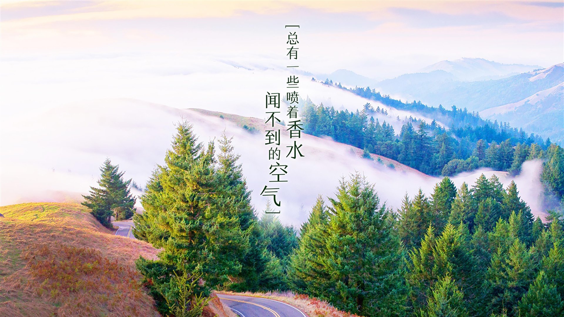 开云下载-南美雄鹰展翅高飞，秘鲁绝杀西班牙，维尼修斯神级表现主导B组焦点战