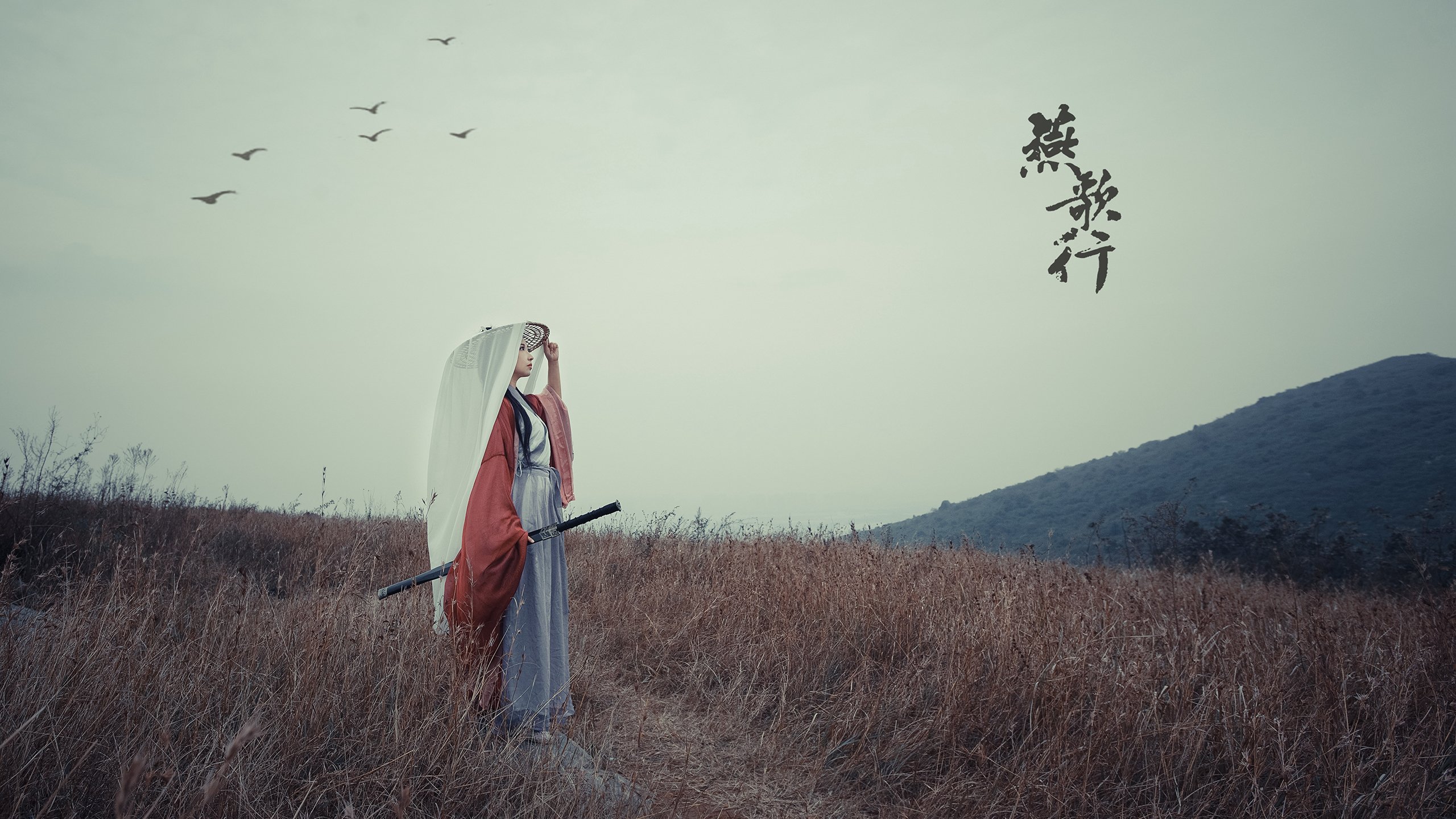 太极虎破北非铁骑，魔笛奏响绿茵绝唱—2026世界杯G组强强对话韩国力克突尼斯